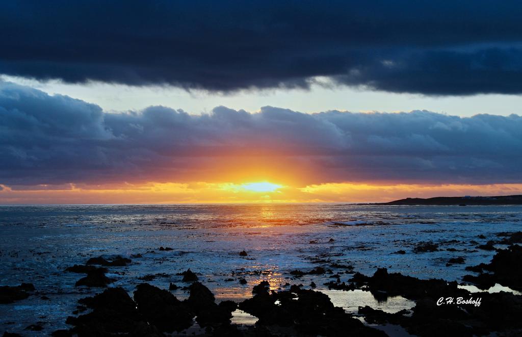 Walkerbay Accommodation Gansbaai Eksteriør bilde