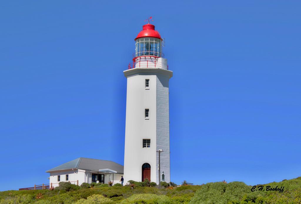 Walkerbay Accommodation Gansbaai Eksteriør bilde