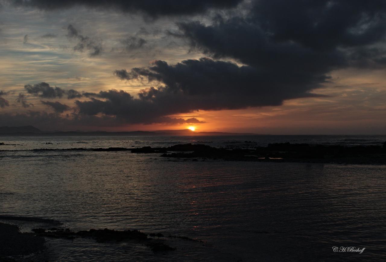Walkerbay Accommodation Gansbaai Eksteriør bilde